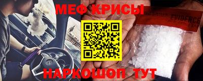 спайс Кингисепп