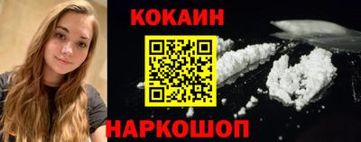 спайс Кингисепп