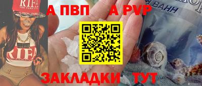 спайс Кингисепп