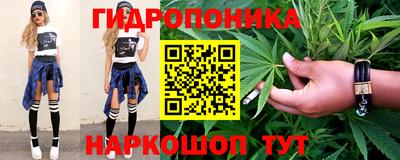 стафф Кимры