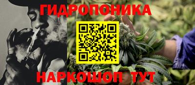 спайс Кингисепп