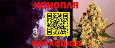 спайс Кингисепп